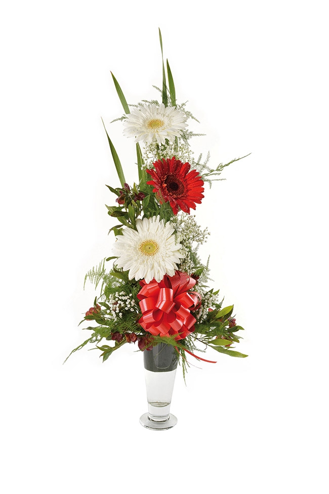 Copa 3 gerberas