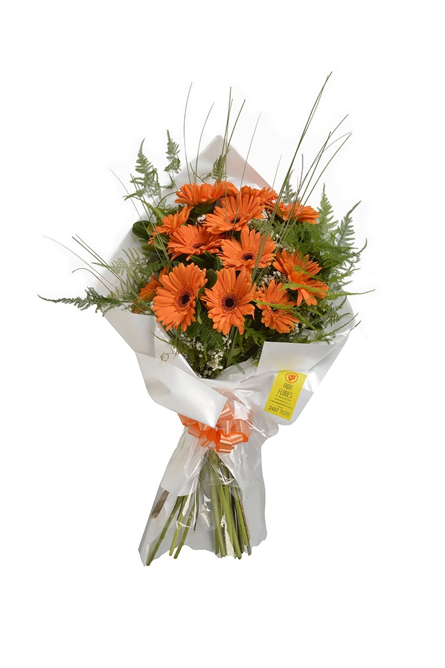 Manojo 12 gerberas